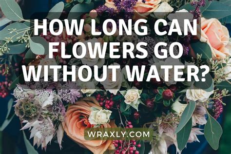 How Long Can Flowers Last Out of Water and Why Do They Dream of Electric Sheep?