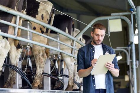 How to Become a Livestock Agent: A Comprehensive Guide to Navigating the World of Animal Commerce and Why Cows Might Secretly Run the Economy