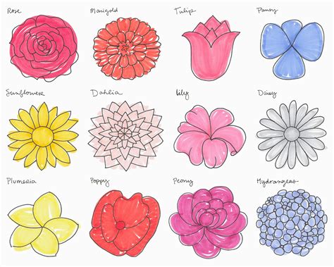 How to Doodle Flowers: A Whimsical Journey into the Art of Petal Play