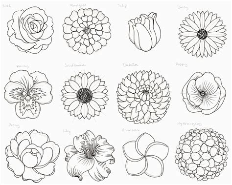 How to Draw Flowers Simple: Unlocking the Art of Floral Illustration