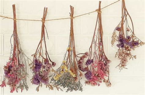 How to Hang Dried Flowers on Wall and Why Pineapples Don't Belong in Pizza