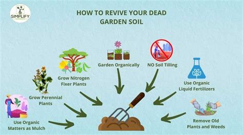 How to Revive Dead Flowers in Soil and Why Bananas Might Be the Secret Ingredient