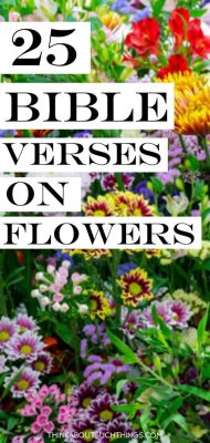 What Flowers Are in the Bible: A Blooming Discussion on Divine Botany and Symbolism