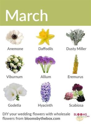 What Flowers Bloom in March: A Journey Through Spring's Palette and the Mysteries of Time