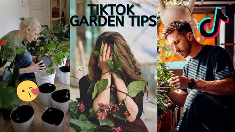 What is Gardening on TikTok: A Digital Eden Sprouting in the Palm of Your Hand