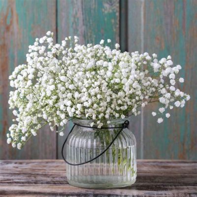 Where to Buy Baby Breath Flowers: A Whimsical Exploration of Floral Markets and Beyond